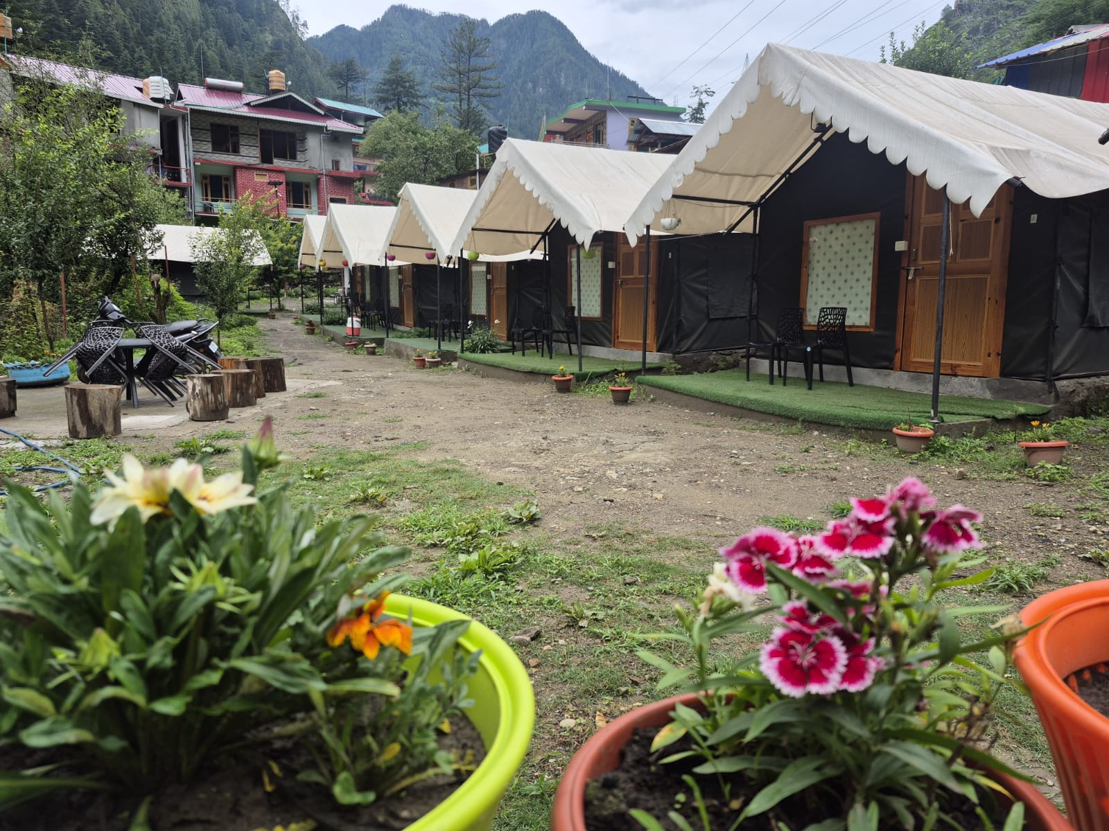 Canvas camp tents with the forested mountains of Kasol behind them
